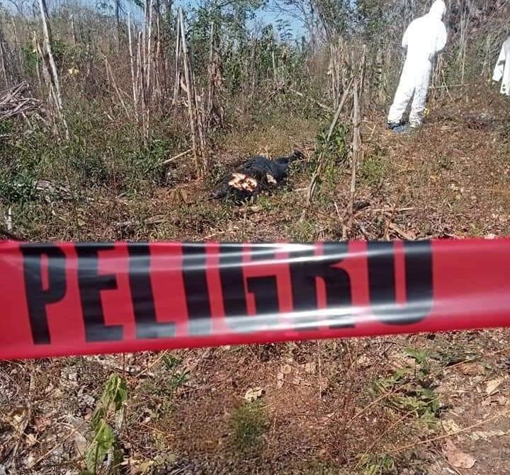 Los cuerpos fueron hallados a la orilla de la carretera estatal Tierra Colorada - La Palma