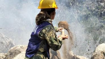 No cesan los trabajos para sofocar los incendios forestales en Acapulco