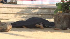 No cesan los asesinatos sobre la Costera en Acapulco