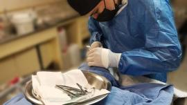 Los tejidos fueron enviados a dos hospitales del IMSS en la Ciudad de México para su trasplante