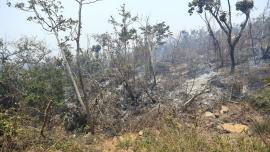 Se recomienda evitar el uso de leña, velas, cigarros e inciensos al interior de los hogares, para generar un ambiente más saludable.